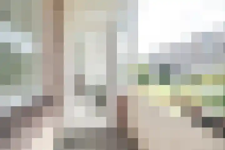 Koning Lodewijklaan 558 Apeldoorn thumbnail 7