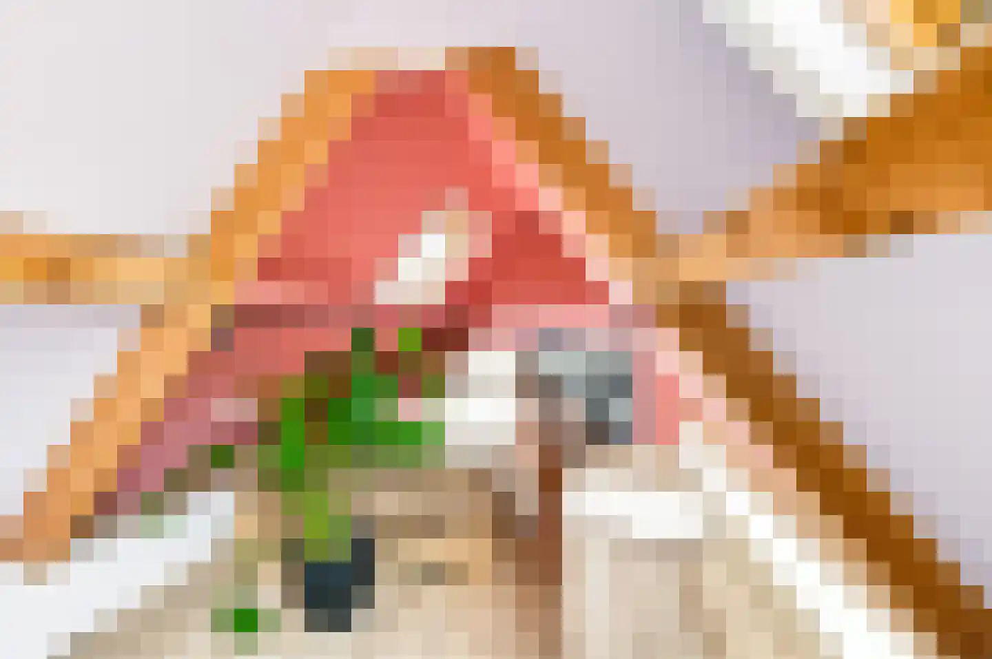 Koning Lodewijklaan 57 Apeldoorn thumbnail 24