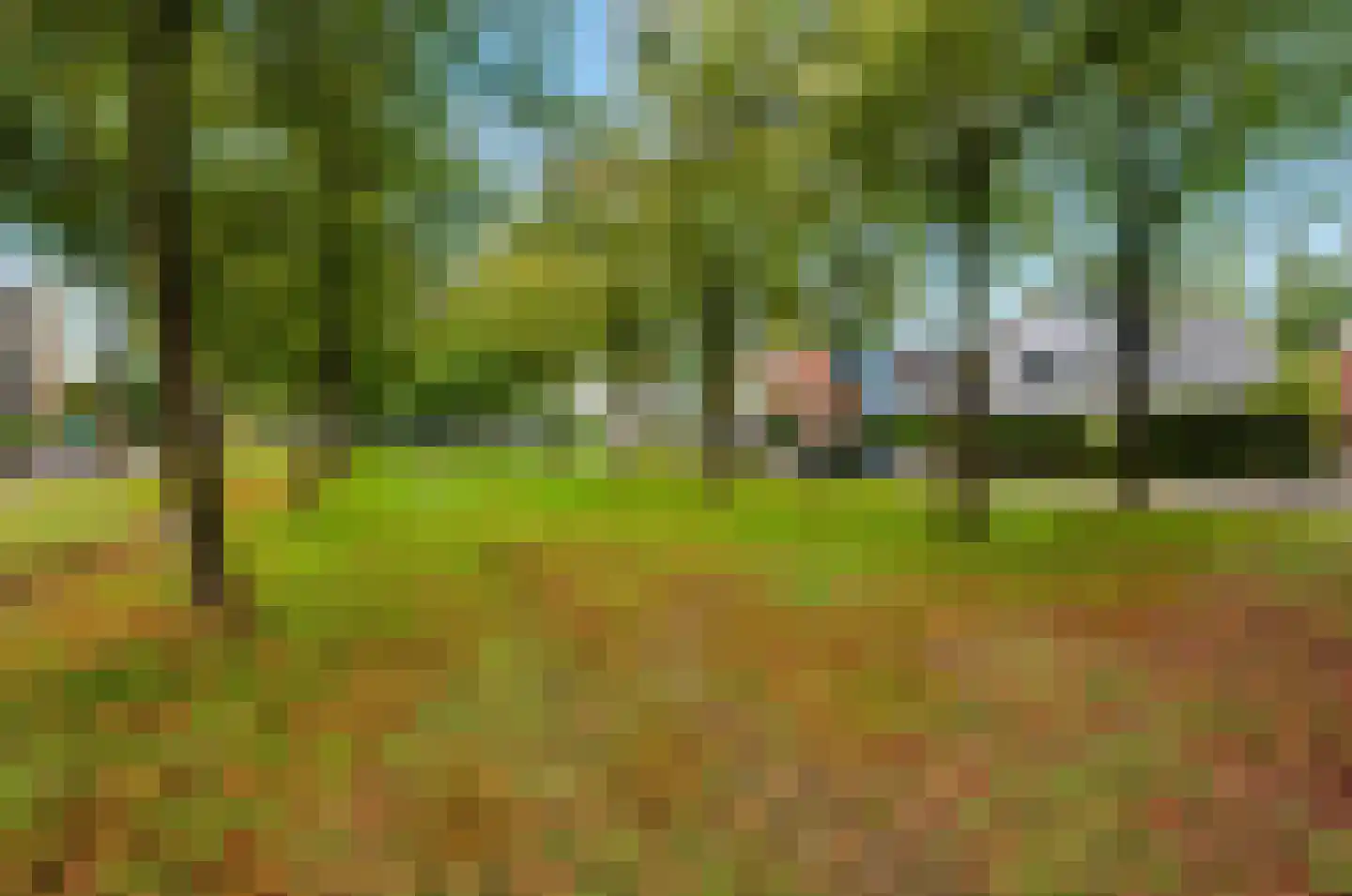 Koning Lodewijklaan 57 Apeldoorn thumbnail 41