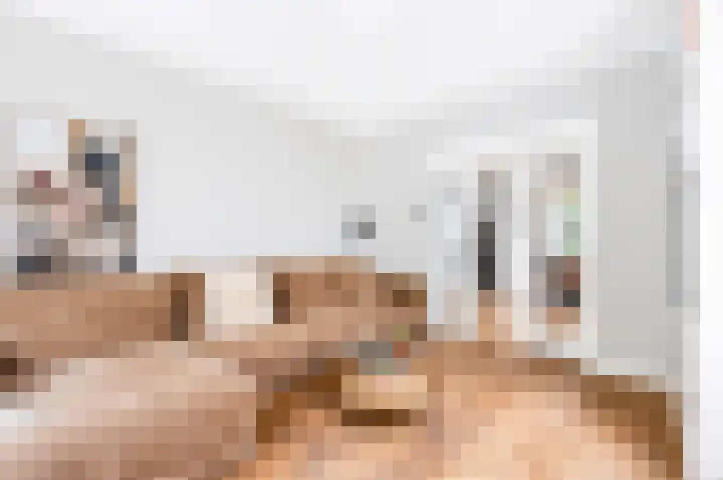 Koning Lodewijklaan 57 Apeldoorn thumbnail 6
