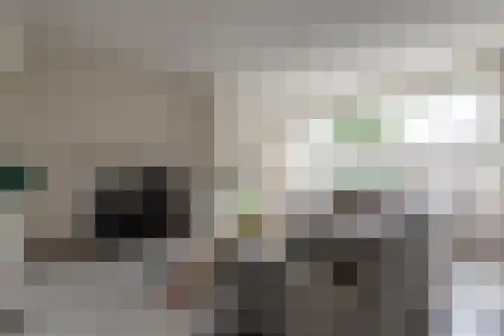 Koning Lodewijklaan 596 Apeldoorn thumbnail 16