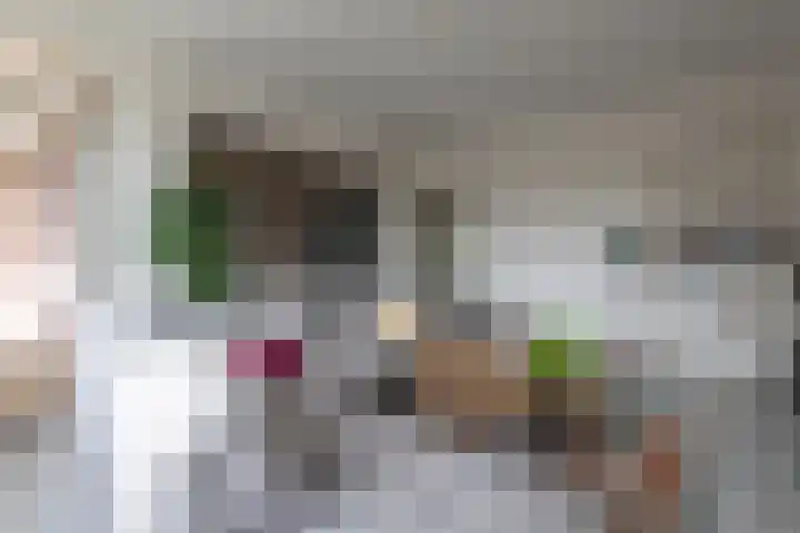 Koning Lodewijklaan 596 Apeldoorn thumbnail 20