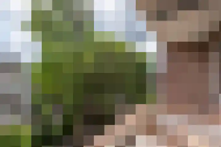 Koning Lodewijklaan 596 Apeldoorn thumbnail 22