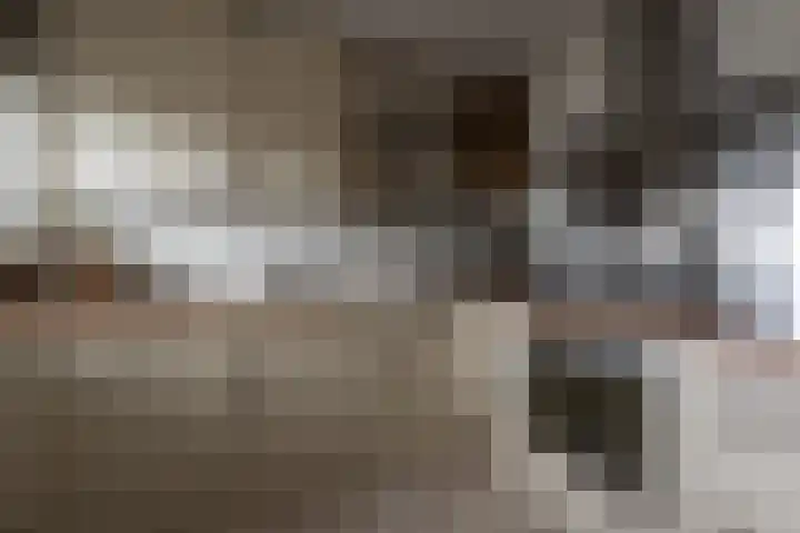 Koning Lodewijklaan 596 Apeldoorn thumbnail 30