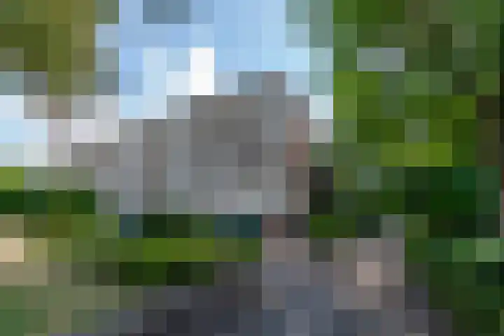 Koning Lodewijklaan 596 Apeldoorn thumbnail 5