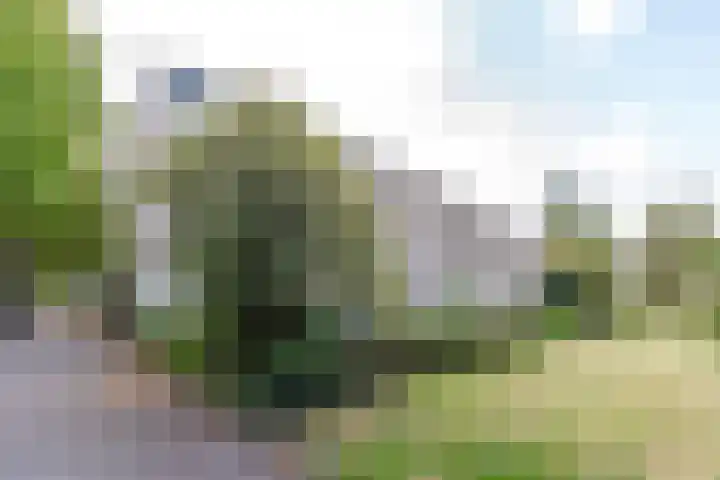 Koning Lodewijklaan 596 Apeldoorn thumbnail 6