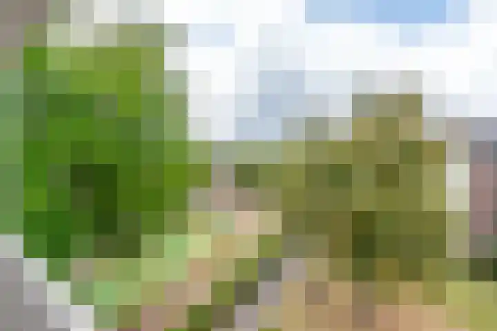 Koning Lodewijklaan 596 Apeldoorn thumbnail 8