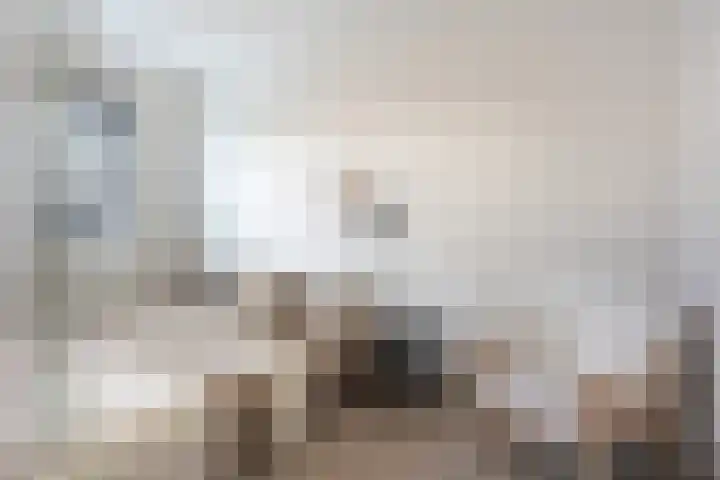 Koning Lodewijklaan 622 Apeldoorn thumbnail 12