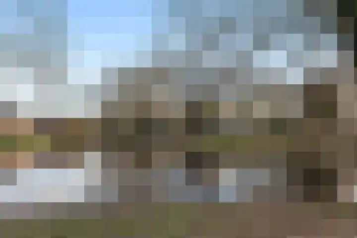 Koning Lodewijklaan 622 Apeldoorn thumbnail 17