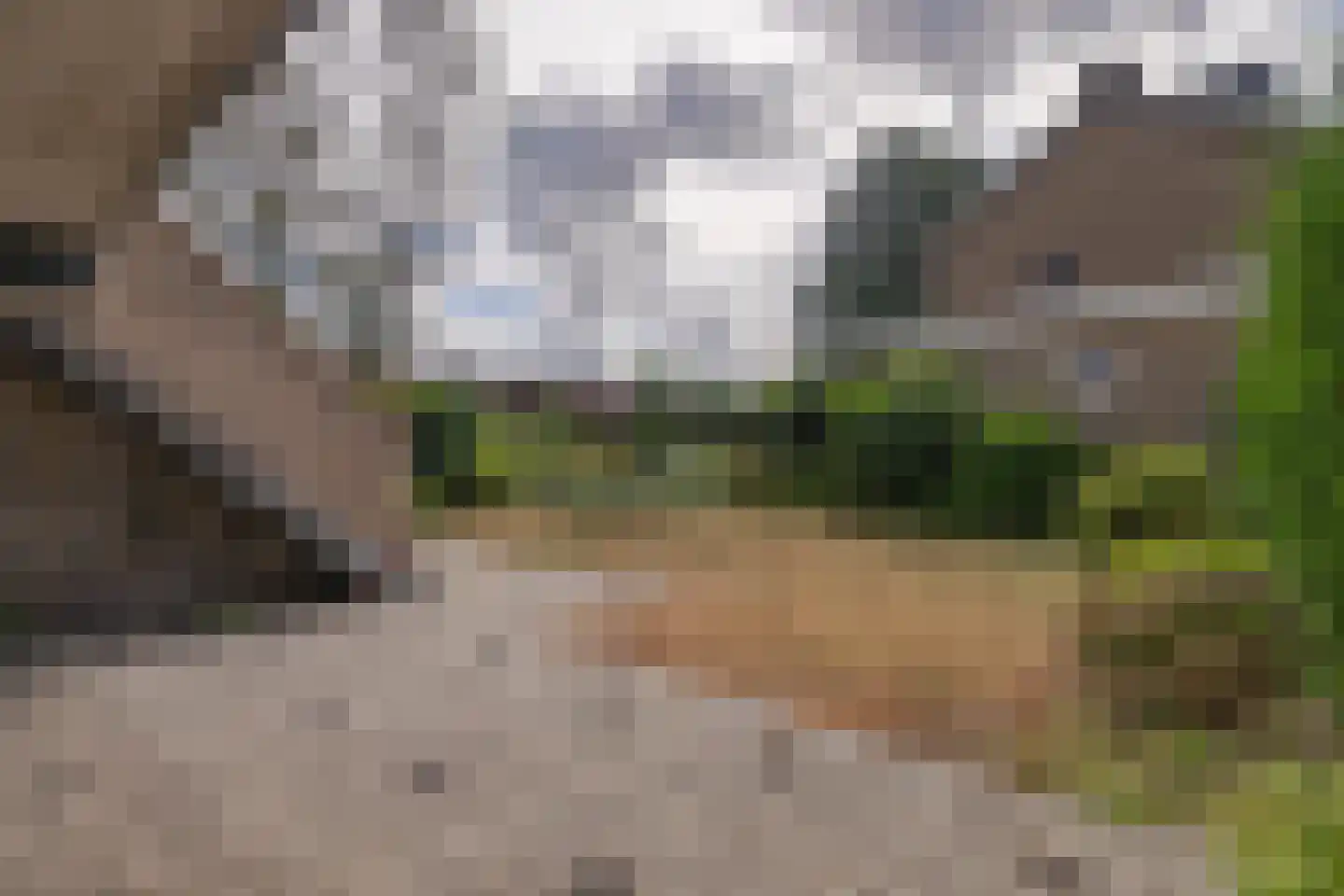 Koning Lodewijkstraat 1 Meerssen thumbnail 15