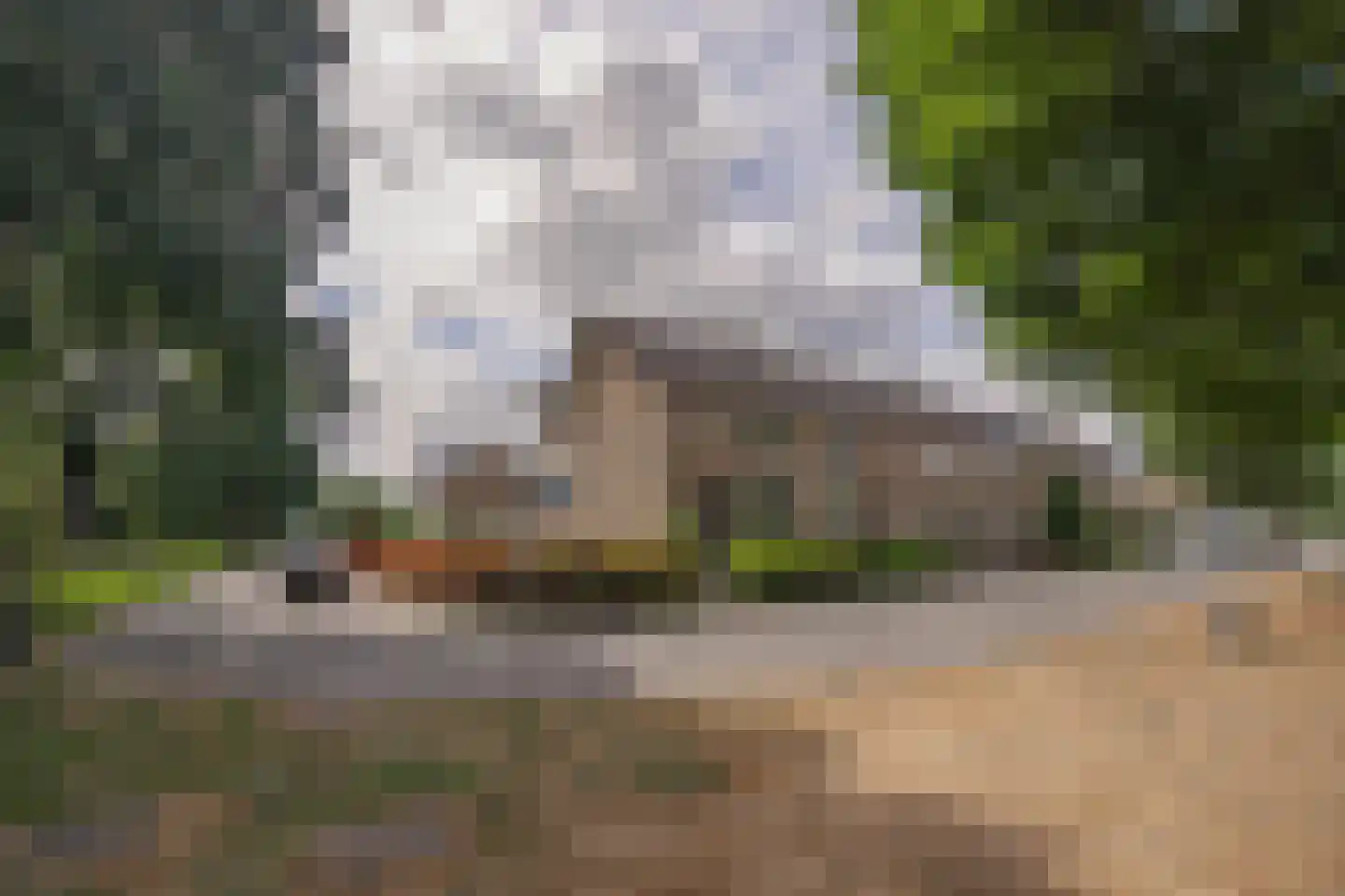 Koning Lodewijkstraat 1 Meerssen thumbnail 18