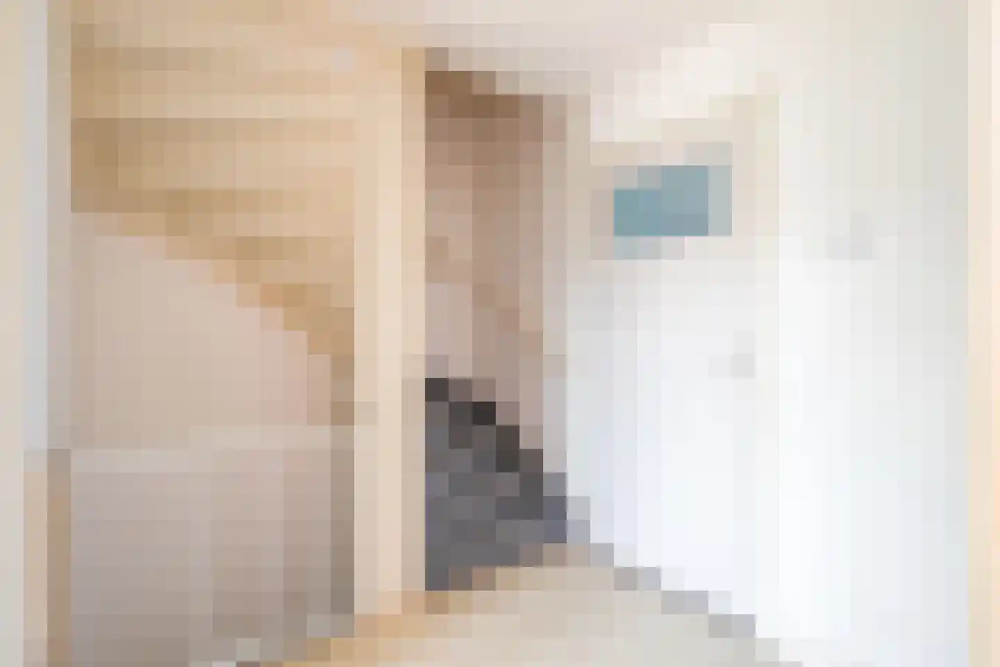 Koning Lodewijkstraat 23 Meerssen thumbnail 7