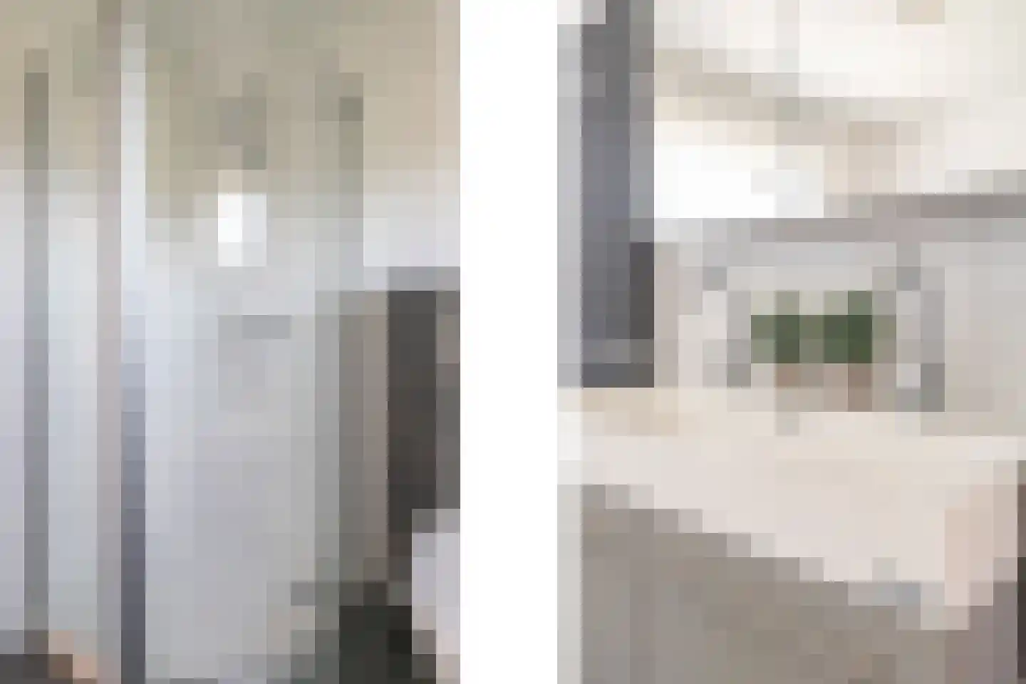 Koning Lodewijkstraat 23 Meerssen thumbnail 9