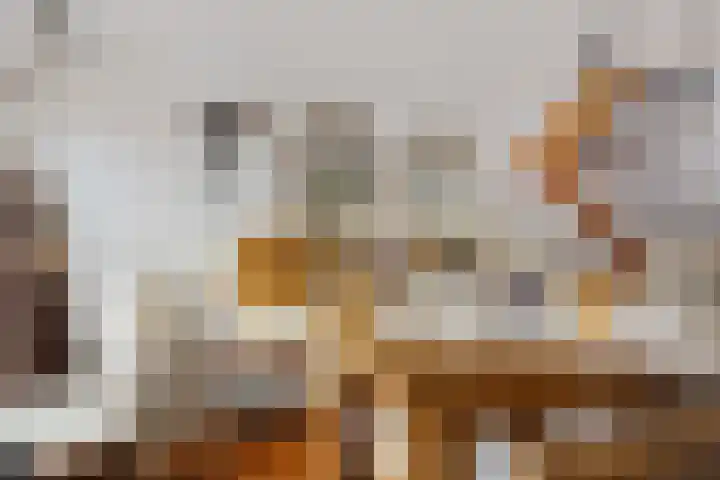 Koning Markweg 25 Eindhoven thumbnail 11