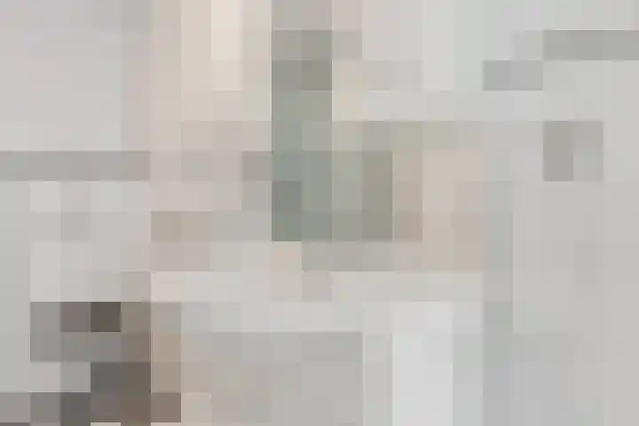 Koning Markweg 25 Eindhoven thumbnail 19