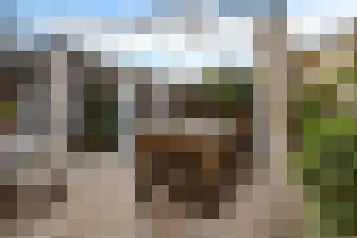Koning Markweg 25 Eindhoven thumbnail 42