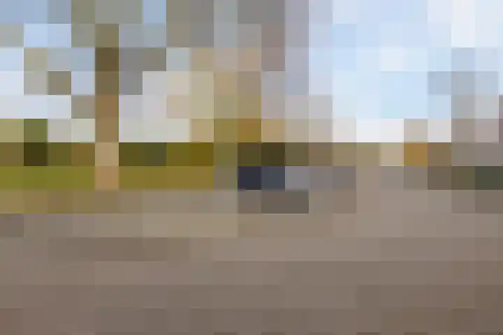 Koning Markweg 25 Eindhoven thumbnail 5