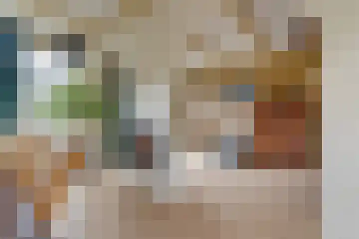 Koning Nobelpad 26 Amersfoort thumbnail 11