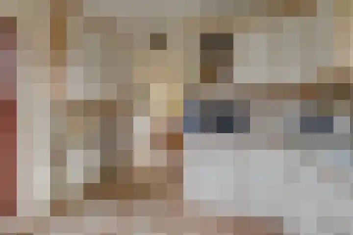 Koning Nobelpad 26 Amersfoort thumbnail 19
