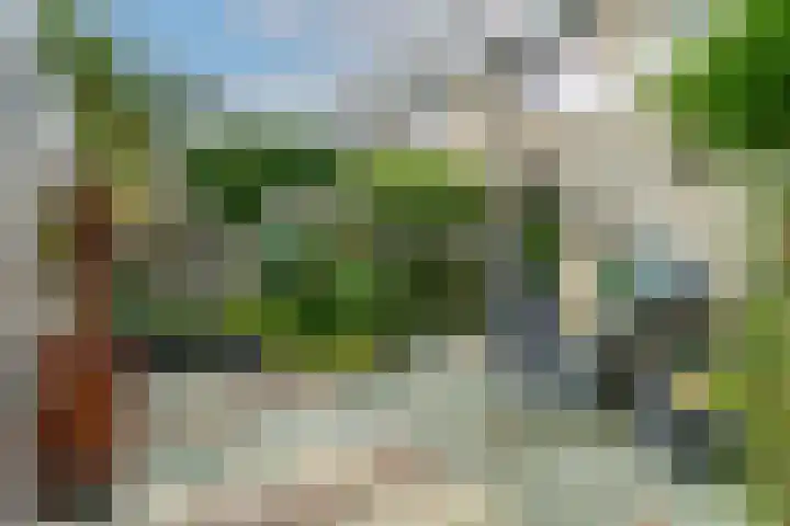 Koning Nobelpad 26 Amersfoort thumbnail 20