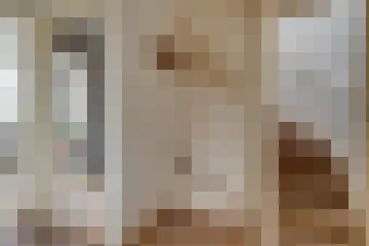 Koning Nobelpad 26 Amersfoort thumbnail 23