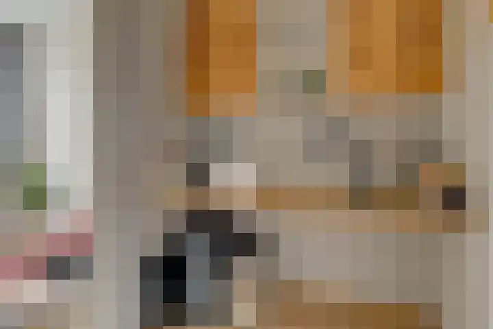 Koning Nobelpad 26 Amersfoort thumbnail 31