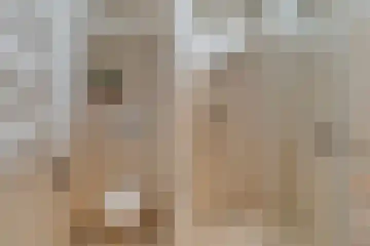 Koning Nobelpad 26 Amersfoort thumbnail 34