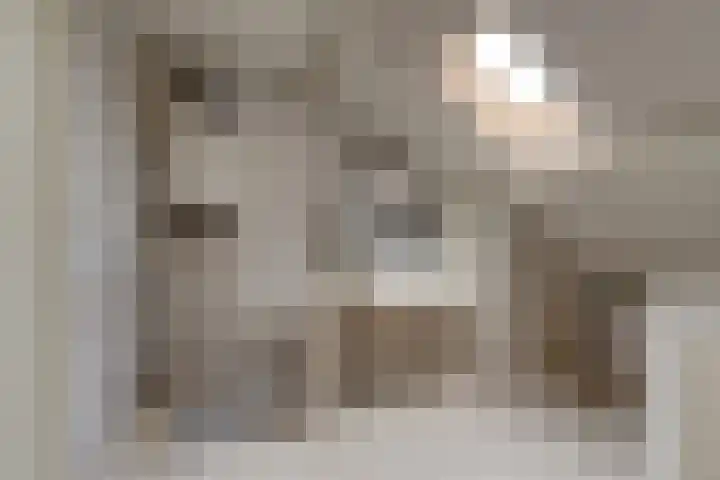 Koning Nobelpad 26 Amersfoort thumbnail 35