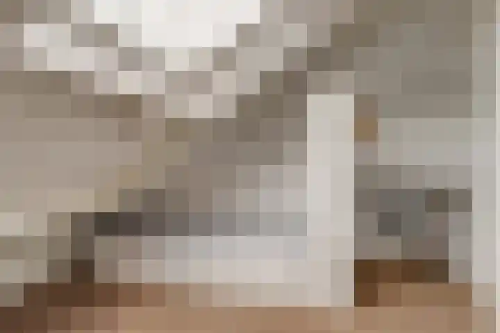Koning Nobelpad 26 Amersfoort thumbnail 39