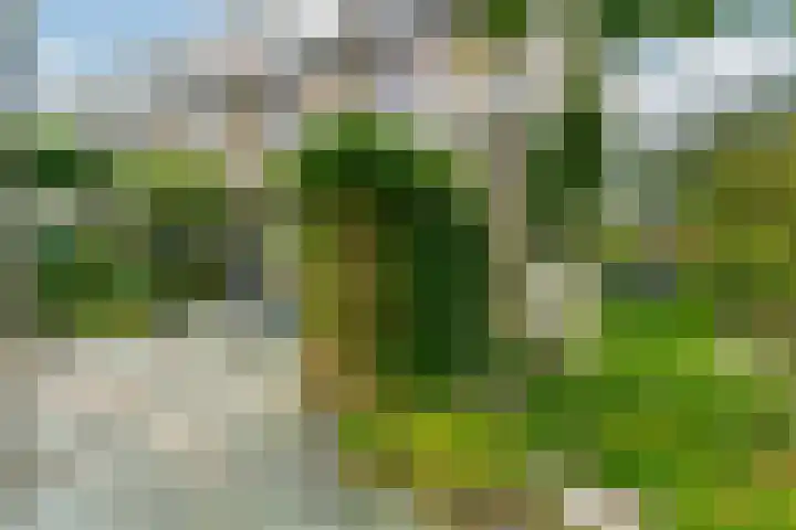 Koning Nobelpad 26 Amersfoort thumbnail 46