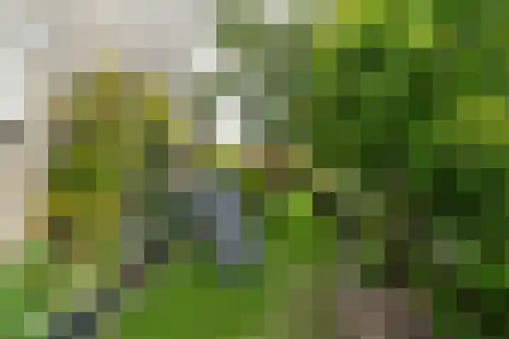 Koning Nobelpad 26 Amersfoort thumbnail 47