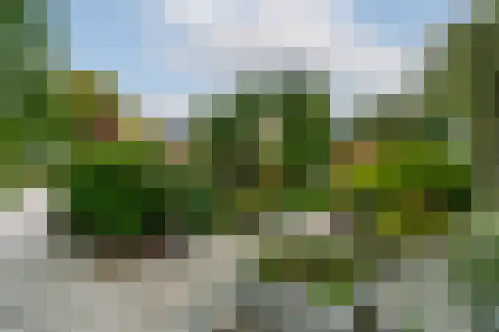 Koning Nobelpad 26 Amersfoort thumbnail 48