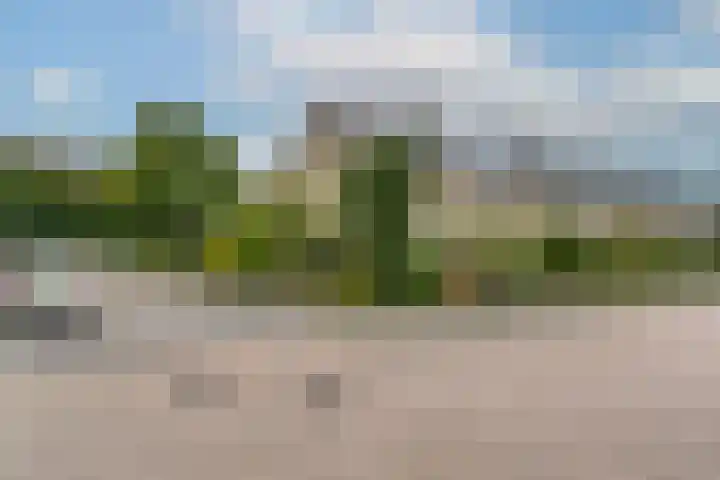 Koning Nobelpad 26 Amersfoort thumbnail 50