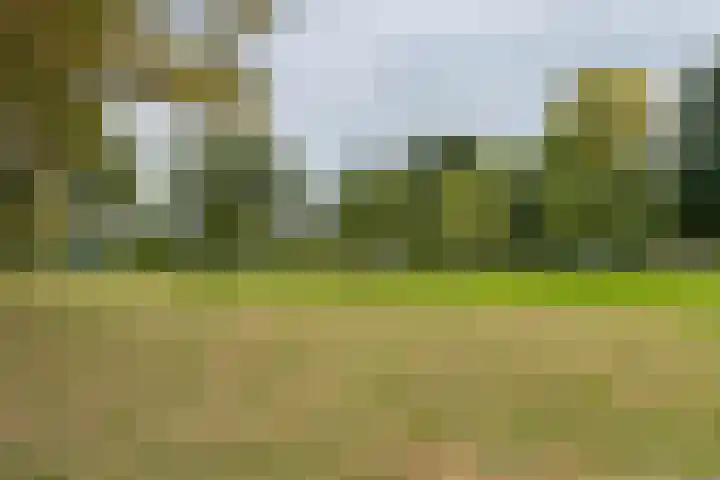 Koning Nobelpad 26 Amersfoort thumbnail 52