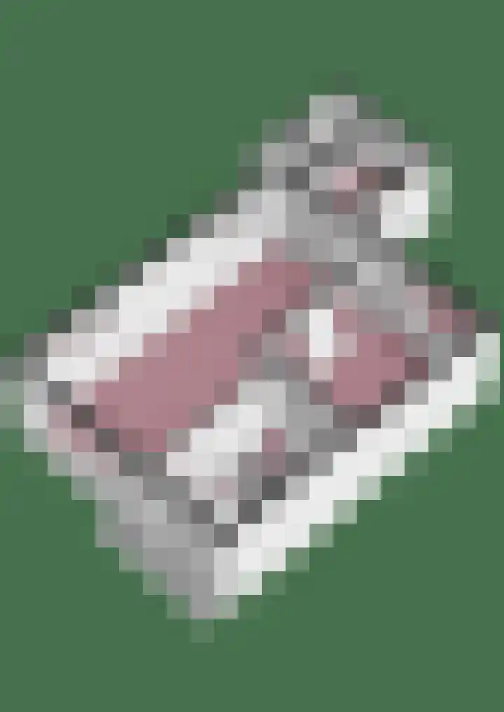 Koning Nobelpad 26 Amersfoort thumbnail 56