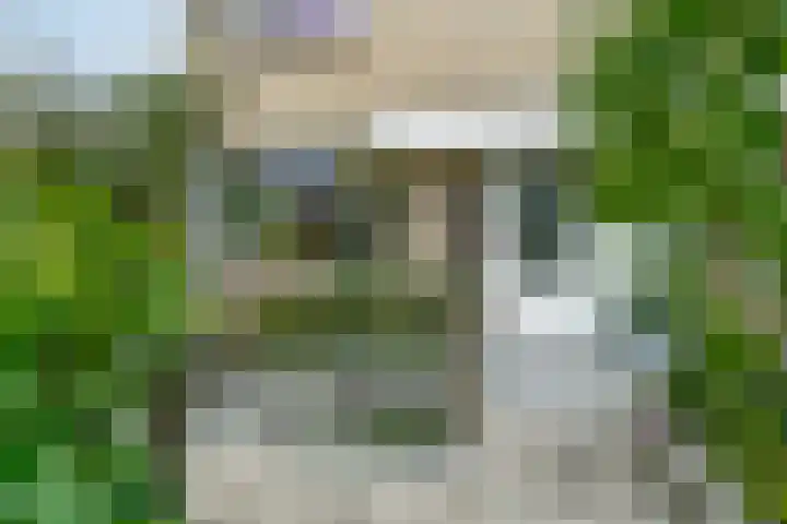 Koning Nobelpad 26 Amersfoort thumbnail 6