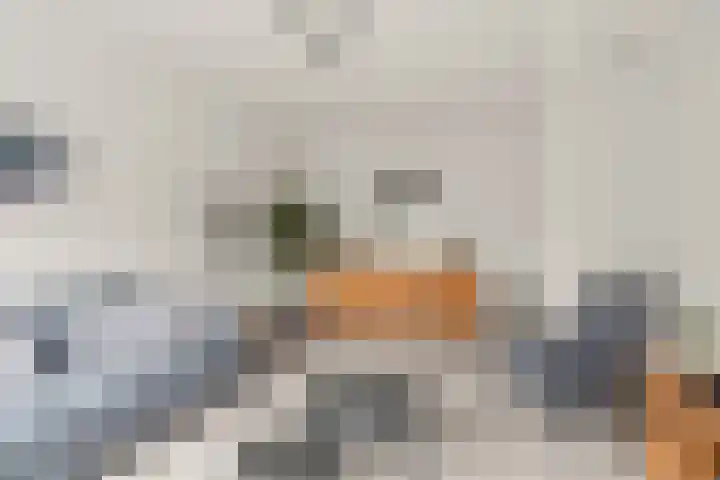 Koning Nobelpad 42 Amersfoort thumbnail 12