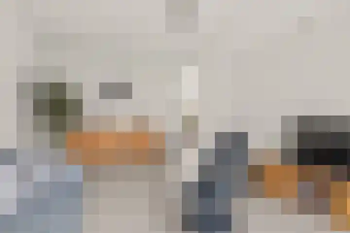 Koning Nobelpad 42 Amersfoort thumbnail 14