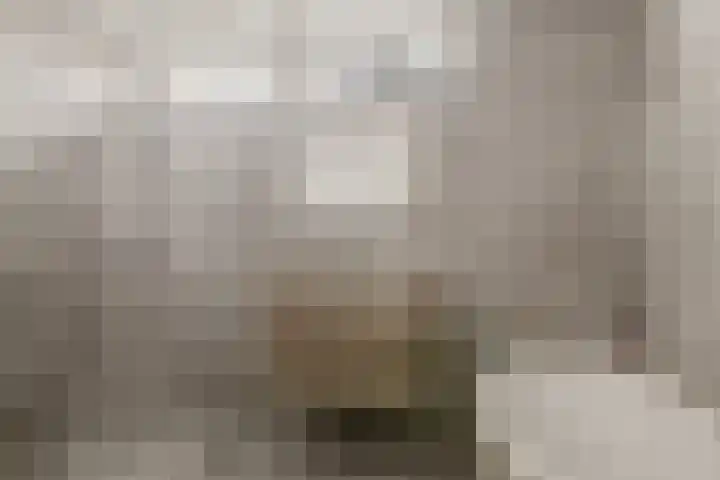 Koning Nobelpad 42 Amersfoort thumbnail 4