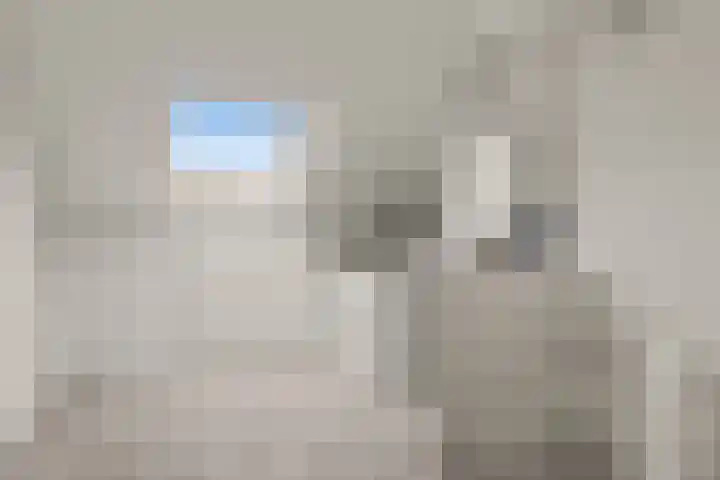 Koning Nobelpad 42 Amersfoort thumbnail 49