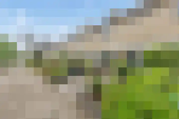 Koning Nobelpad 42 Amersfoort thumbnail 55