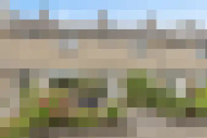 Koning Nobelpad 42 Amersfoort thumbnail 56