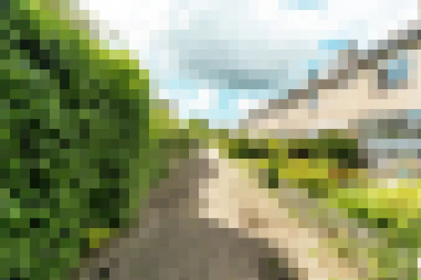 Koning Nobelpad 44 Amersfoort thumbnail 33