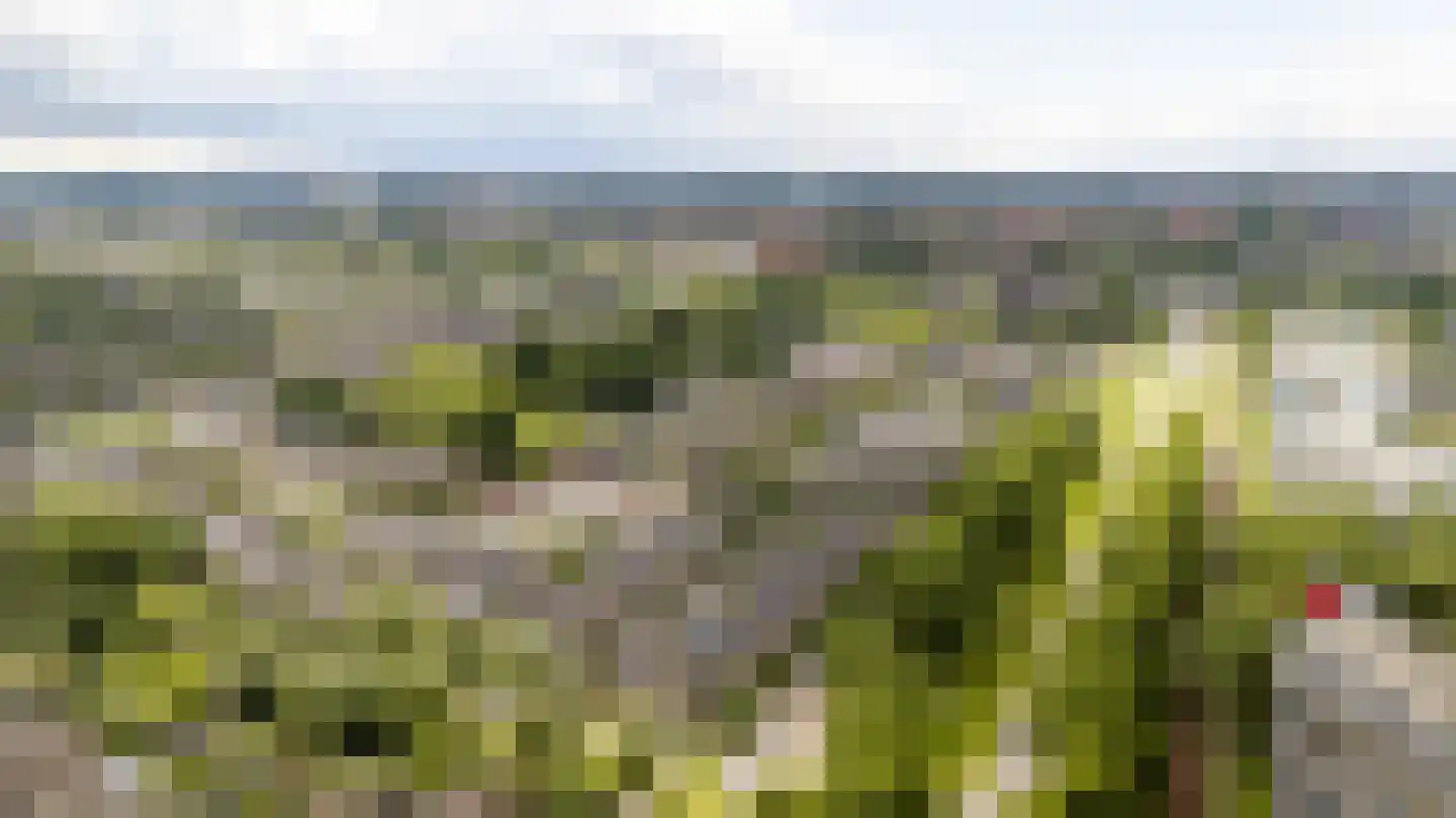 Koning Nobelpad 44 Amersfoort thumbnail 35