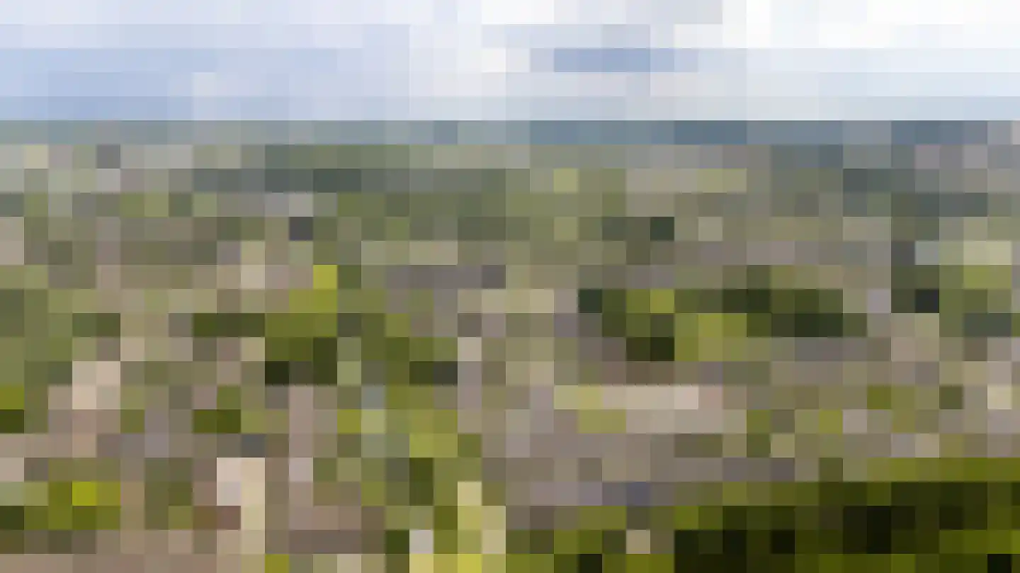 Koning Nobelpad 44 Amersfoort thumbnail 36