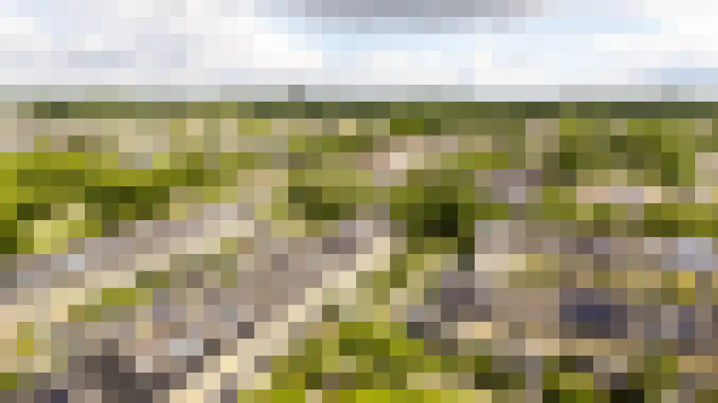 Koning Nobelpad 44 Amersfoort thumbnail 38