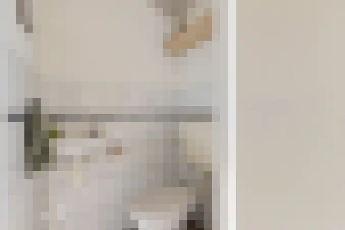 Koning Radboudlaan 17 Creil thumbnail 11