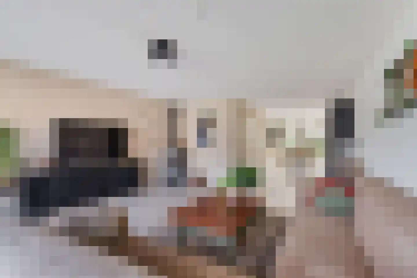 Koning Radboudlaan 17 Creil thumbnail 13