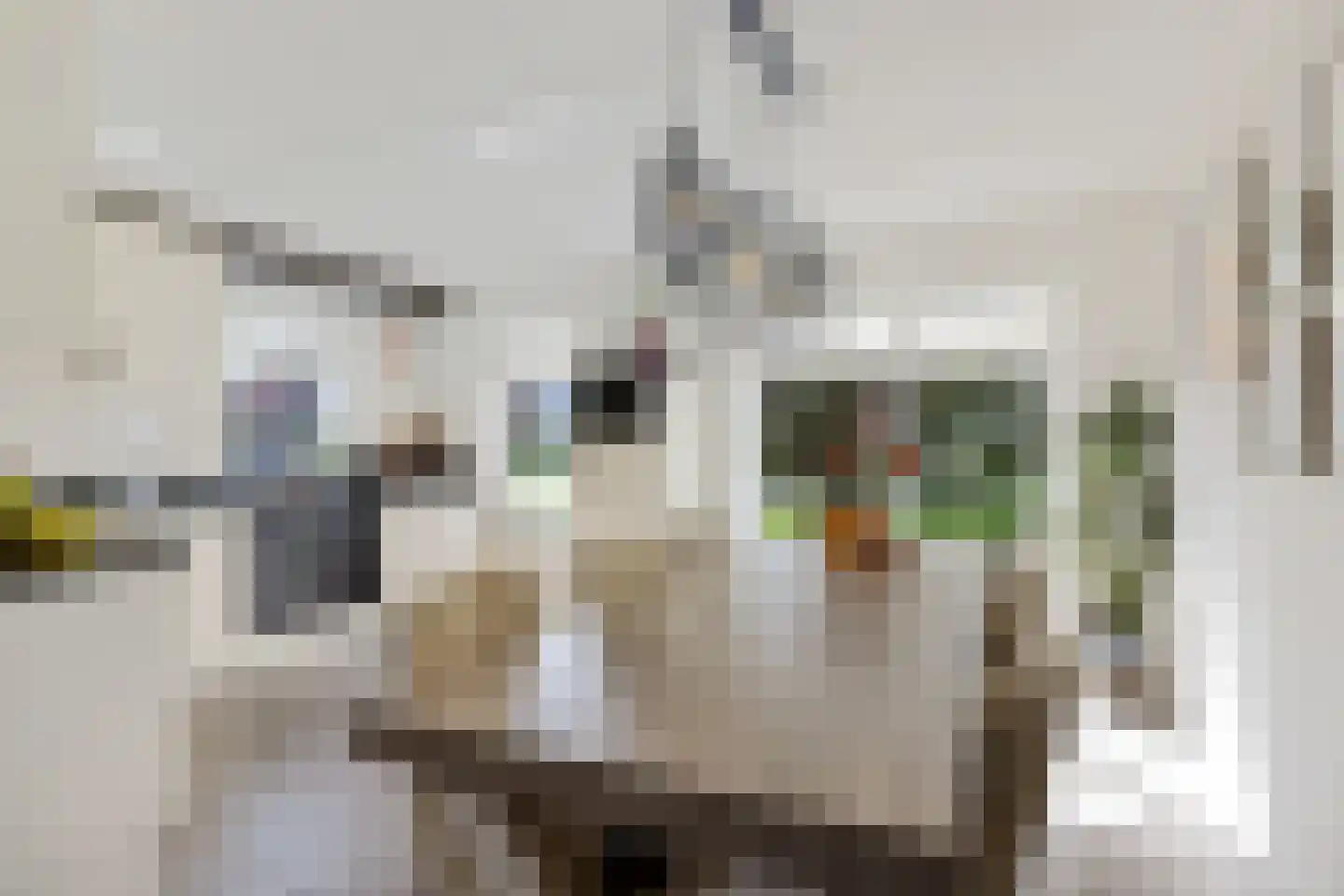 Koning Radboudlaan 17 Creil thumbnail 16