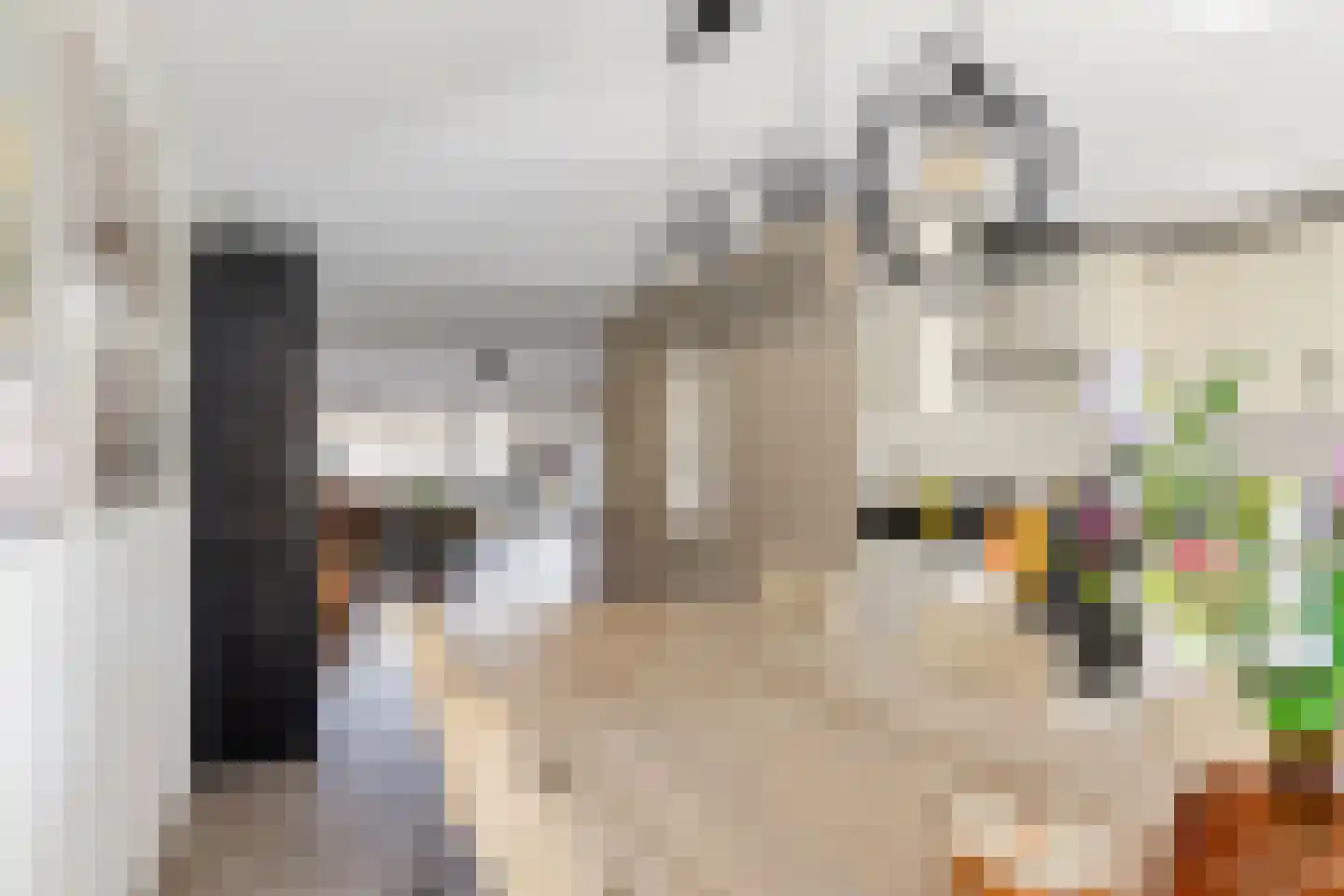 Koning Radboudlaan 17 Creil thumbnail 18